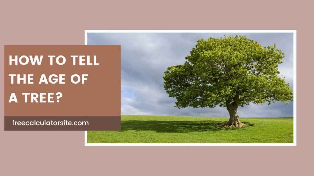 How to Tell the Age of a Tree