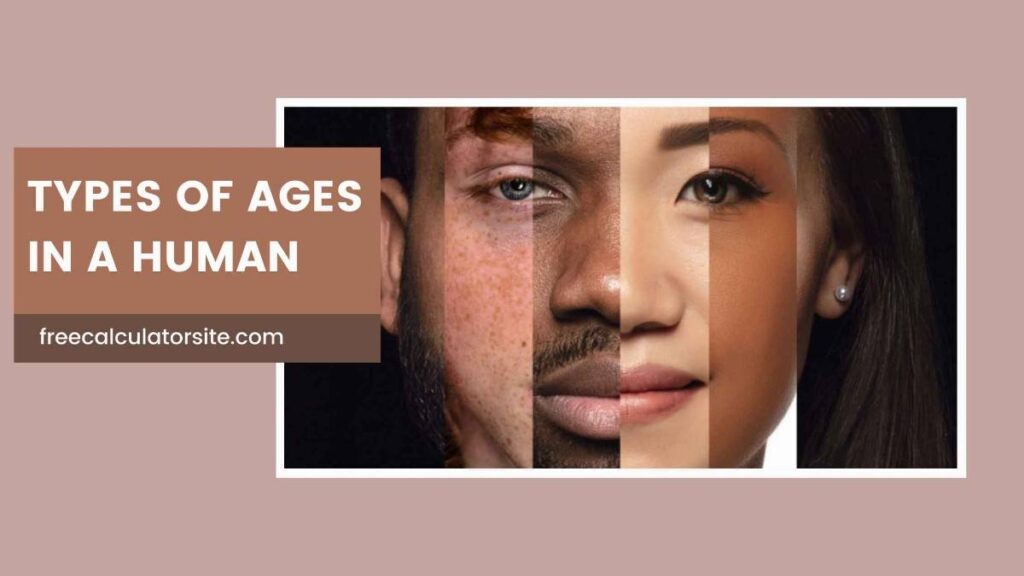 Types of Ages in a Human