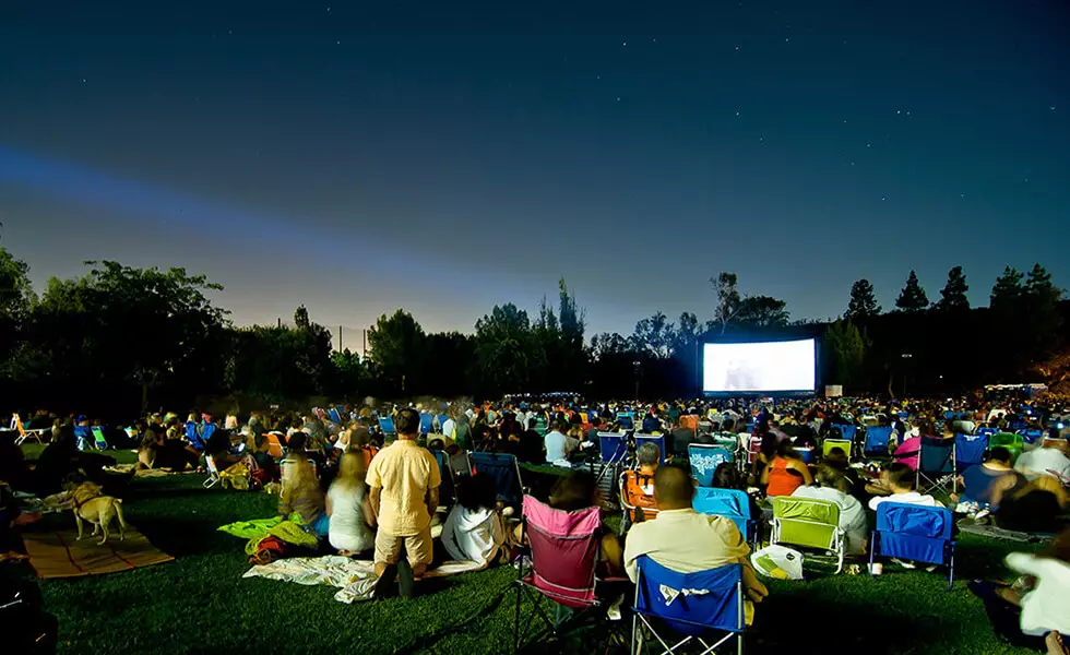 Movie Night Under the Stars